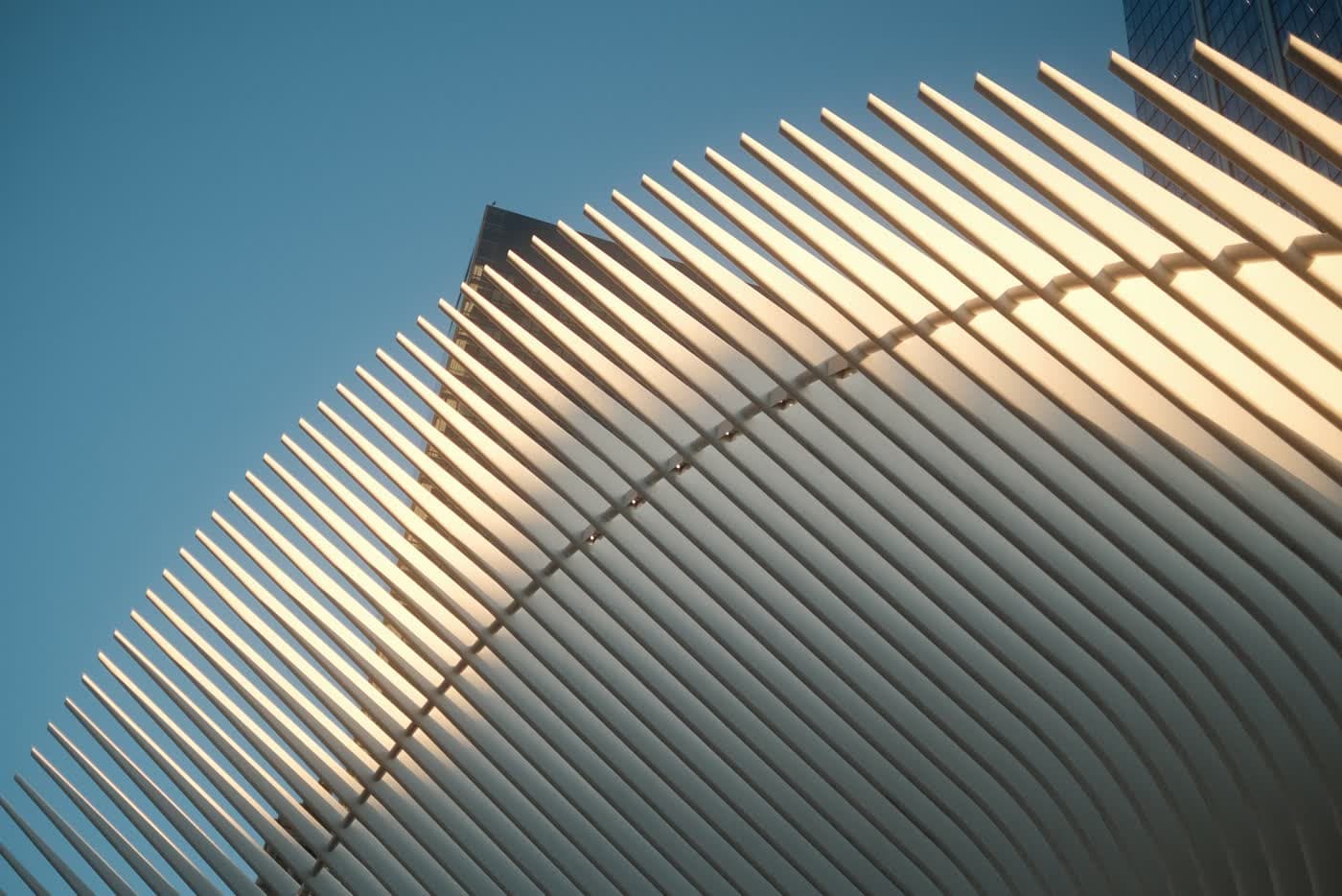 The white ribs of the Oculus against the sky